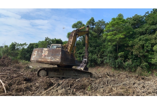 (2019年08月-2019年09月) 开挖前整地