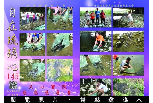 自在琉璃心145期