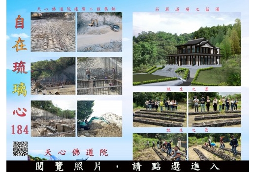 自在琉璃心184期